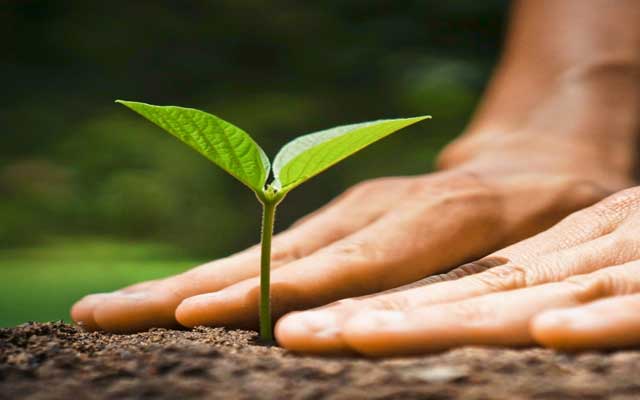 Health the Natural Way